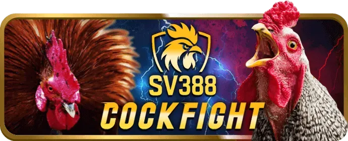 Chương trình hoàn trả 66vn code